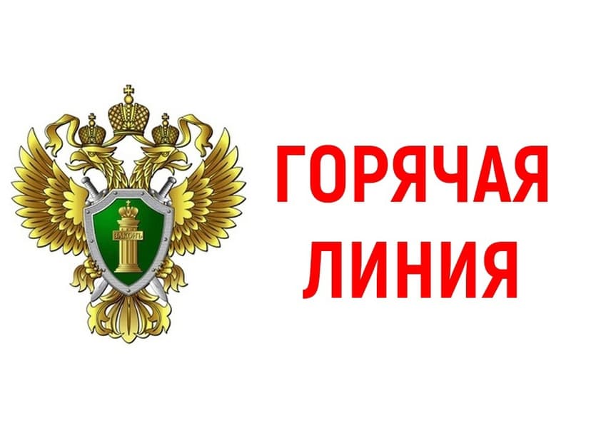 Горячая линия прокуратуры Московского района